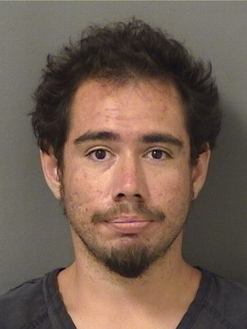  KENDALL VINCENT SALAS Results from Palm Beach County Florida for  KENDALL VINCENT SALAS