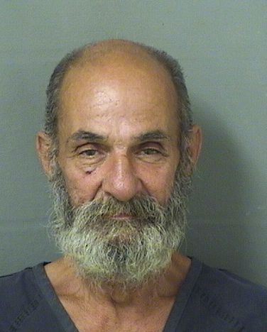  MICHAEL FRANK BEZI Results from Palm Beach County Florida for  MICHAEL FRANK BEZI