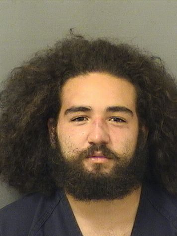  ALEJANDRO J LEON Results from Palm Beach County Florida for  ALEJANDRO J LEON
