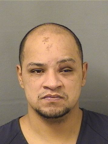  DENNIS NINO Results from Palm Beach County Florida for  DENNIS NINO