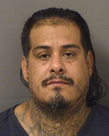 STEVE PATINORANGEL Photos For  STEVE PATINORANGEL  STEVE PATINORANGEL Photo For  STEVE PATINORANGEL