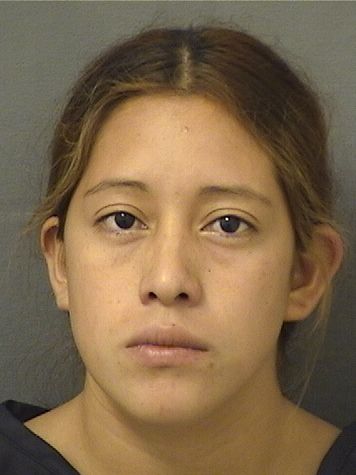  BERNADITA BEATRIZEDELGAO SILVESTRE Results from Palm Beach County Florida for  BERNADITA BEATRIZEDELGAO SILVESTRE