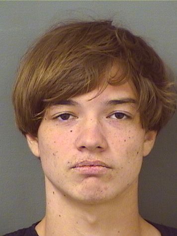  NINO LUCA VONDONOPGUZZO Results from Palm Beach County Florida for  NINO LUCA VONDONOPGUZZO