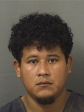  JOSE FREDY DOMINGOQUINONEZ Results from Palm Beach County Florida for  JOSE FREDY DOMINGOQUINONEZ