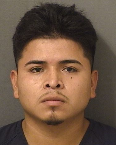  ENNER FABIAN NIXVASQUEZ Results from Palm Beach County Florida for  ENNER FABIAN NIXVASQUEZ