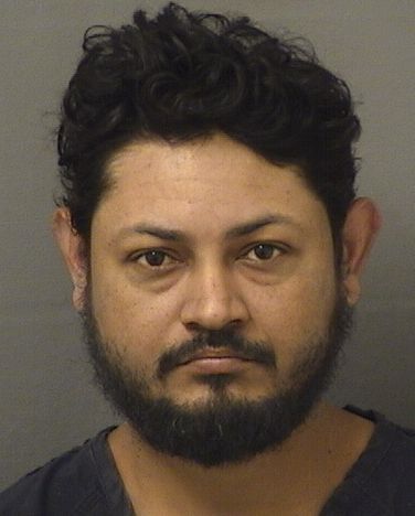RAMON ARMANDO ROSALESACOSTA Results from Palm Beach County Florida for RAMON ARMANDO ROSALESACOSTA RAMON ARMANDO ROSALESACOSTA Results from Palm Beach County Florida for RAMON ARMANDO ROSALESACOSTA