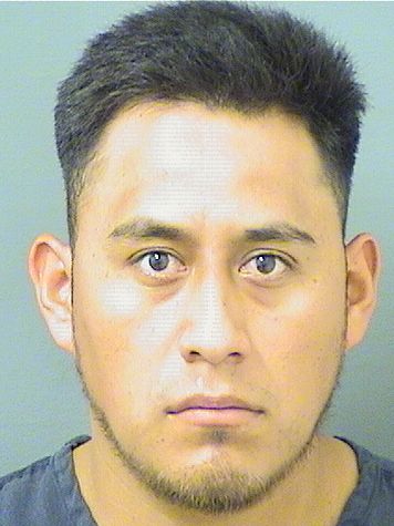  JESUS DENAZARETH LOPEZSANCHEZ Results from Palm Beach County Florida for  JESUS DENAZARETH LOPEZSANCHEZ