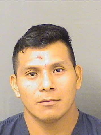 JUAN JUANTOMAS Results from Palm Beach County Florida for JUAN JUANTOMAS JUAN JUANTOMAS Results from Palm Beach County Florida for JUAN JUANTOMAS
