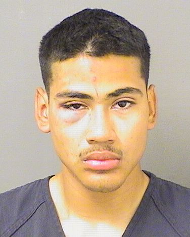 FREDDY ALEXANDER VILLAMAN Results from Palm Beach County Florida for FREDDY ALEXANDER VILLAMAN FREDDY ALEXANDER VILLAMAN Results from Palm Beach County Florida for FREDDY ALEXANDER VILLAMAN