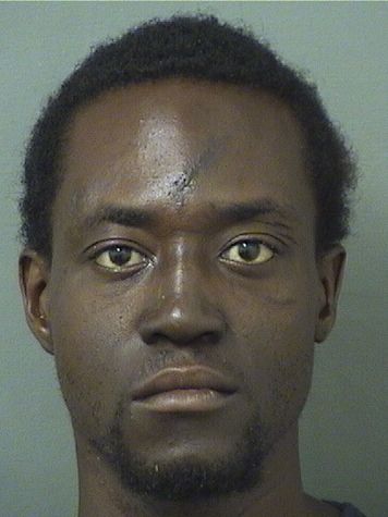  TOREY NEWSON Results from Palm Beach County Florida for  TOREY NEWSON