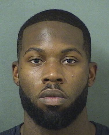  JUSTIN MOZART MCKINNEY Results from Palm Beach County Florida for  JUSTIN MOZART MCKINNEY