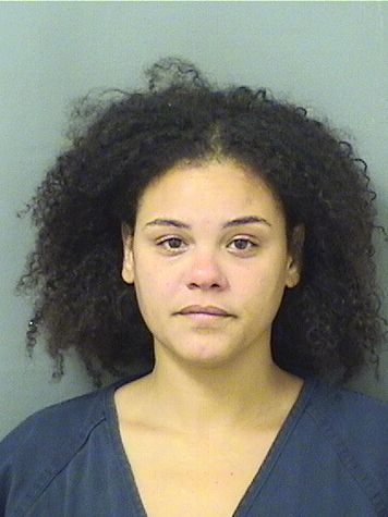  ASHELY E STEPP Results from Palm Beach County Florida for  ASHELY E STEPP