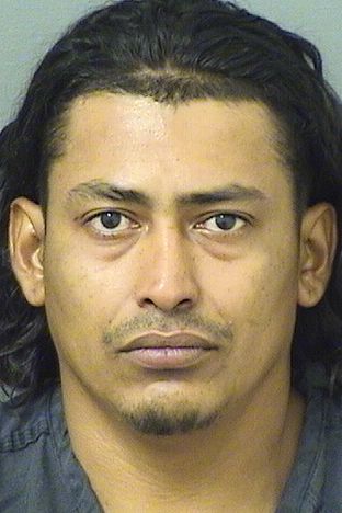  YONATHAN A MENDOZACHAVARRIA Results from Palm Beach County Florida for  YONATHAN A MENDOZACHAVARRIA