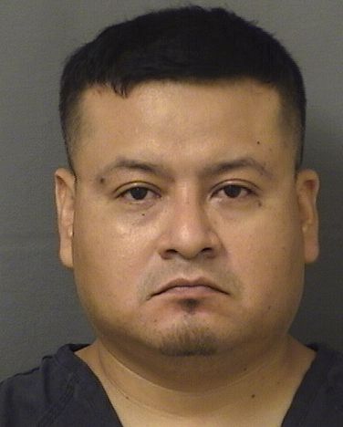  JULIO CESAR ORTIZNUNEZ Results from Palm Beach County Florida for  JULIO CESAR ORTIZNUNEZ