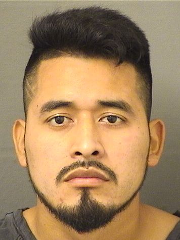  BRAYAN OLIVER RODRIGUEZSANTIZO Results from Palm Beach County Florida for  BRAYAN OLIVER RODRIGUEZSANTIZO