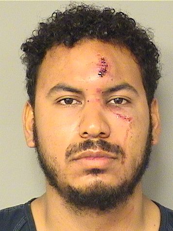  ALEXIS A RODRIGUEZ Results from Palm Beach County Florida for  ALEXIS A RODRIGUEZ