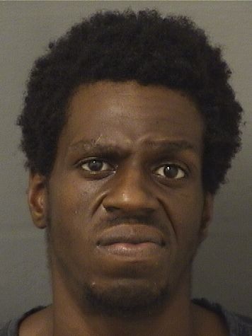  ROBERT LEE WRIGHT Results from Palm Beach County Florida for  ROBERT LEE WRIGHT