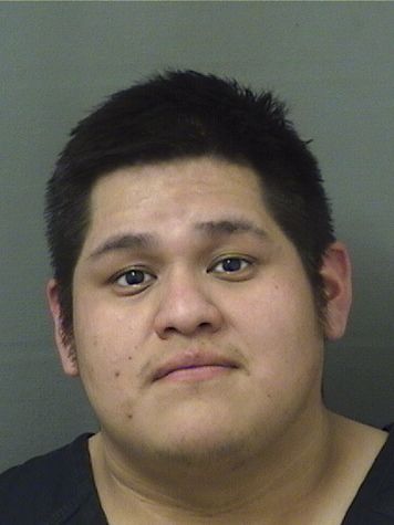  DENNY JUANMATIAS Results from Palm Beach County Florida for  DENNY JUANMATIAS