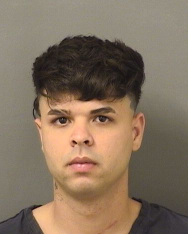  ELOIYONY DELACARIDAD MACHADOARTEAGA Resultados de la busqueda para Palm Beach County Florida para  ELOIYONY DELACARIDAD MACHADOARTEAGA