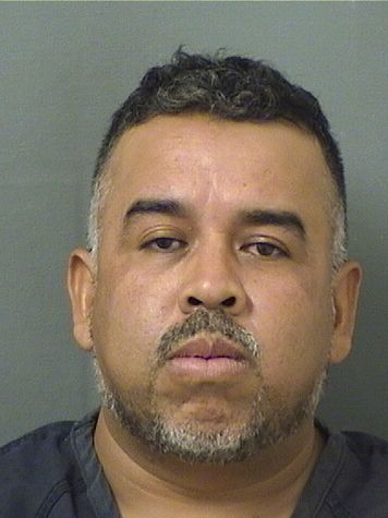  JOSE LUIS LUJANSANCHEZ Results from Palm Beach County Florida for  JOSE LUIS LUJANSANCHEZ