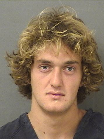  JAMES HENRY GREEN Results from Palm Beach County Florida for  JAMES HENRY GREEN