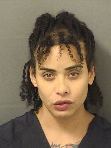  DAVID JOSEPH REED Results from Palm Beach County Florida for  DAVID JOSEPH REED