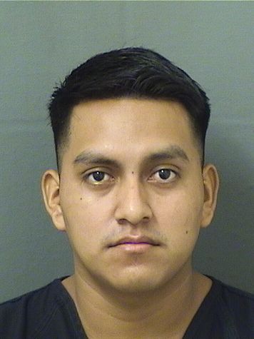 TEODORO CASTROLUCAS Results from Palm Beach County Florida for TEODORO CASTROLUCAS TEODORO CASTROLUCAS Results from Palm Beach County Florida for TEODORO CASTROLUCAS