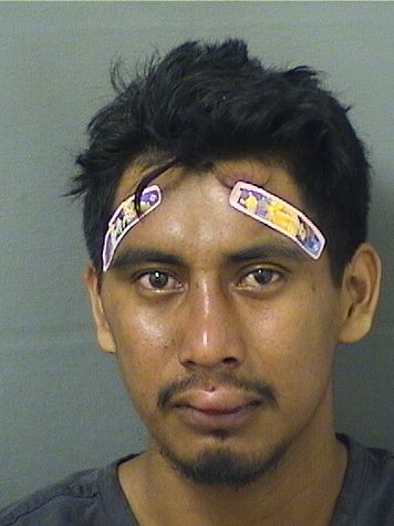  ELIZANDRO SALESPEREZ Results from Palm Beach County Florida for  ELIZANDRO SALESPEREZ