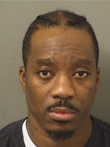  JULES MAXSTEEVE Results from Palm Beach County Florida for  JULES MAXSTEEVE