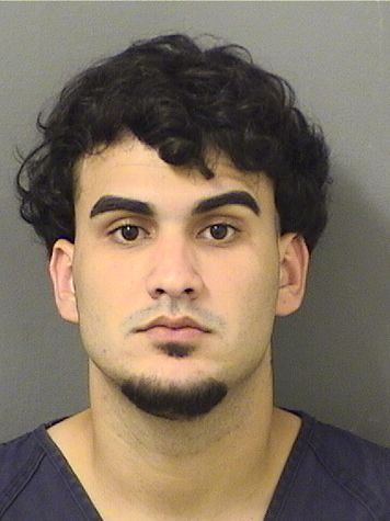  BRYAN MIGUEL RICOMARTINEZ Results from Palm Beach County Florida for  BRYAN MIGUEL RICOMARTINEZ