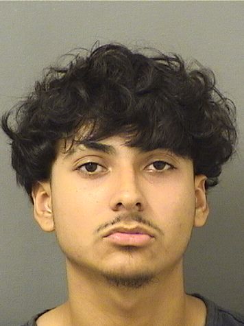  YOSSEN ABEL CARO Results from Palm Beach County Florida for  YOSSEN ABEL CARO