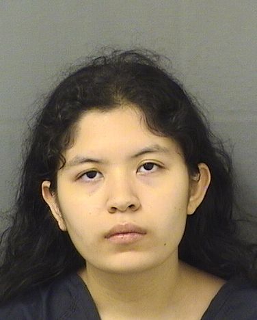  ALANA HAINES Results from Palm Beach County Florida for  ALANA HAINES