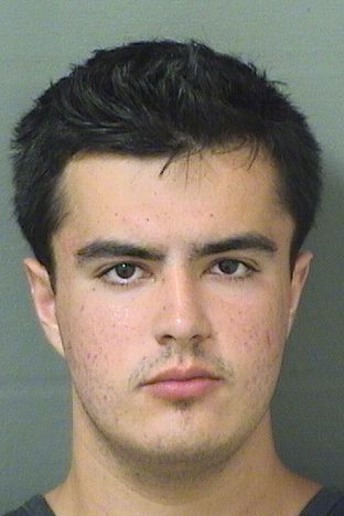  DYLAN MATTHEW BERWIN Results from Palm Beach County Florida for  DYLAN MATTHEW BERWIN