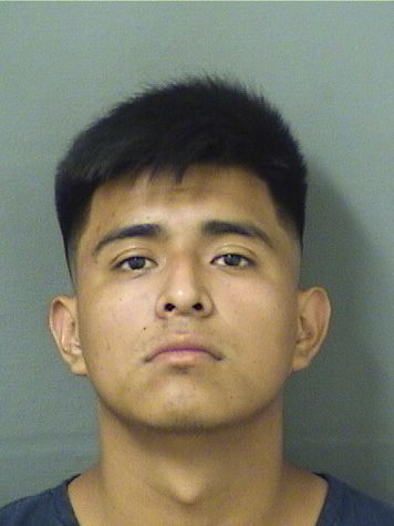  OLIVER CINTORAMIREZ Results from Palm Beach County Florida for  OLIVER CINTORAMIREZ