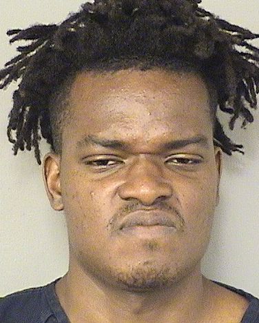  BERNSTORFFER ANULYSSE Results from Palm Beach County Florida for  BERNSTORFFER ANULYSSE