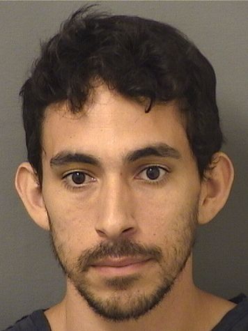  ANTHONY REYES Results from Palm Beach County Florida for  ANTHONY REYES