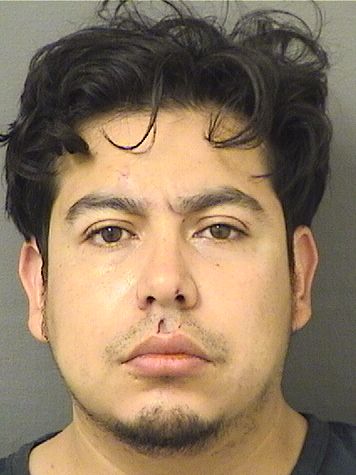  FRANSICO ALEJANDRO HERNANDEZTORRES Photo