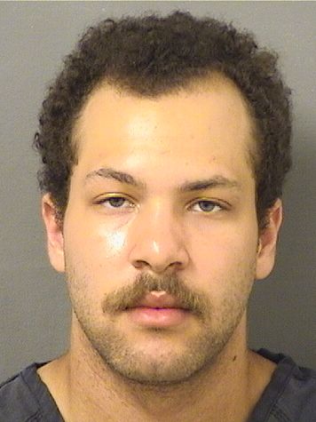  PARKER ABRAHAM FINE Results from Palm Beach County Florida for  PARKER ABRAHAM FINE