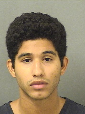  BRANDON ANTHONY ALGUACILPEREZ Results from Palm Beach County Florida for  BRANDON ANTHONY ALGUACILPEREZ