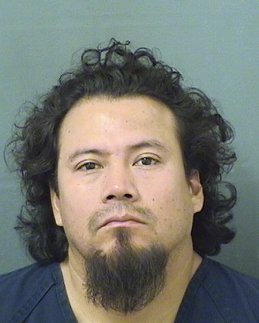  DOMINGO PEREZCRUZ Results from Palm Beach County Florida for  DOMINGO PEREZCRUZ