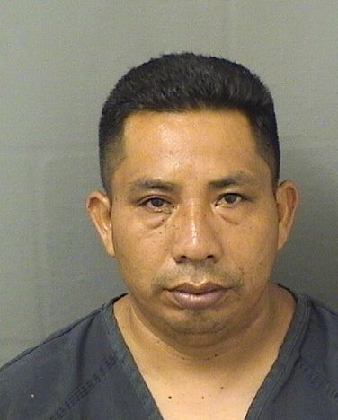 ROMULO RODRIGUEZALCON Photos For  ROMULO RODRIGUEZALCON  ROMULO RODRIGUEZALCON Photo For  ROMULO RODRIGUEZALCON