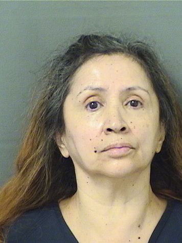  MARLENY CASTILLOCHICA Results from Palm Beach County Florida for  MARLENY CASTILLOCHICA