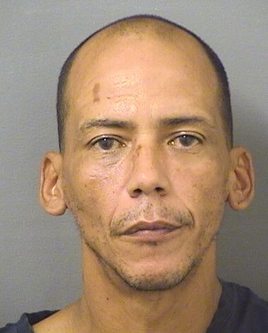  KELVIN RADAMES CARREROSAGARDIA Resultados de la busqueda para Palm Beach County Florida para  KELVIN RADAMES CARREROSAGARDIA