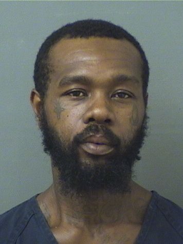  CURTIS RAYMONDMORRIS JOHNSON Results from Palm Beach County Florida for  CURTIS RAYMONDMORRIS JOHNSON
