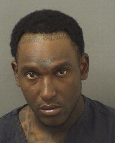  ROMARIO LOUIDOR Results from Palm Beach County Florida for  ROMARIO LOUIDOR