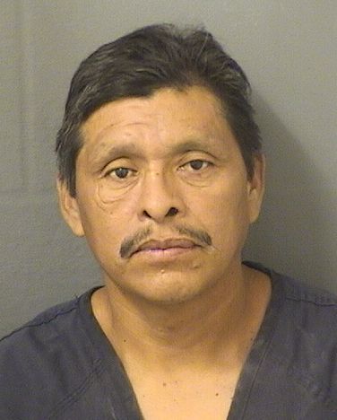  MARIO SANTOSHERNANDEZ Results from Palm Beach County Florida for  MARIO SANTOSHERNANDEZ