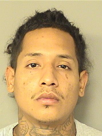  JUSTIN JOSHUA SALCEDO Results from Palm Beach County Florida for  JUSTIN JOSHUA SALCEDO
