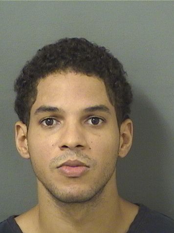  GEORGE GUZMAN Results from Palm Beach County Florida for  GEORGE GUZMAN