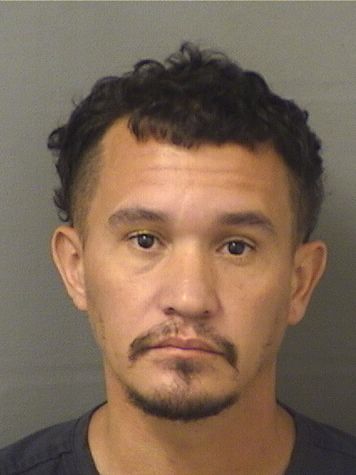  WALTER INTRIAGO Results from Palm Beach County Florida for  WALTER INTRIAGO