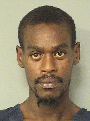  DAMIAN LEMOR PERRY Results from Palm Beach County Florida for  DAMIAN LEMOR PERRY